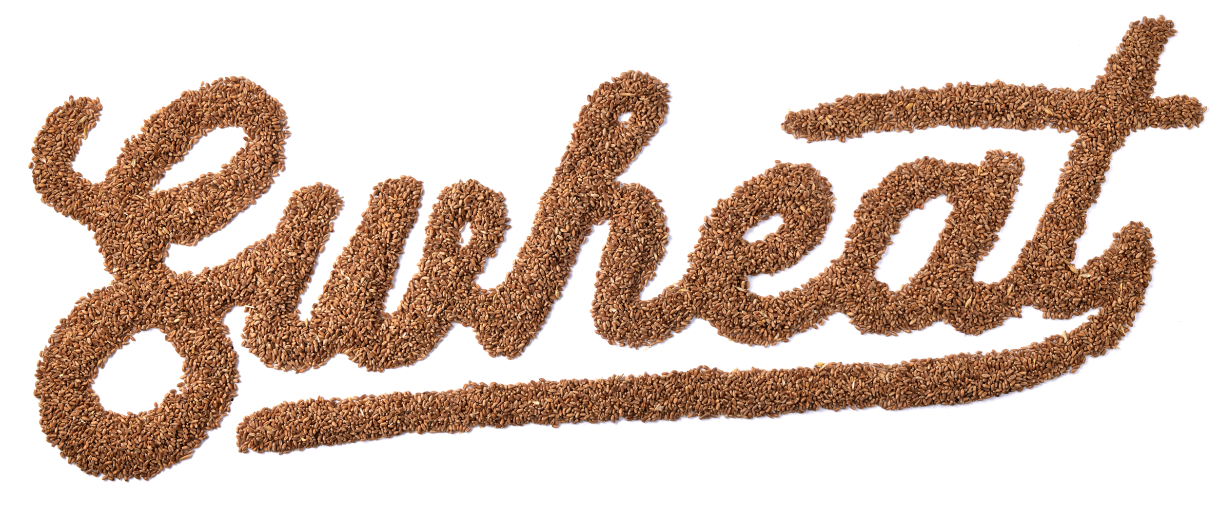 Screen Shot 2022-02-15 at 12.49.35 PM.png