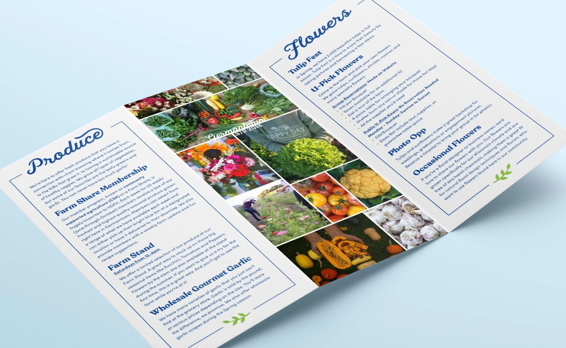 Z_Fold_Flyer_Mockup_1.jpg