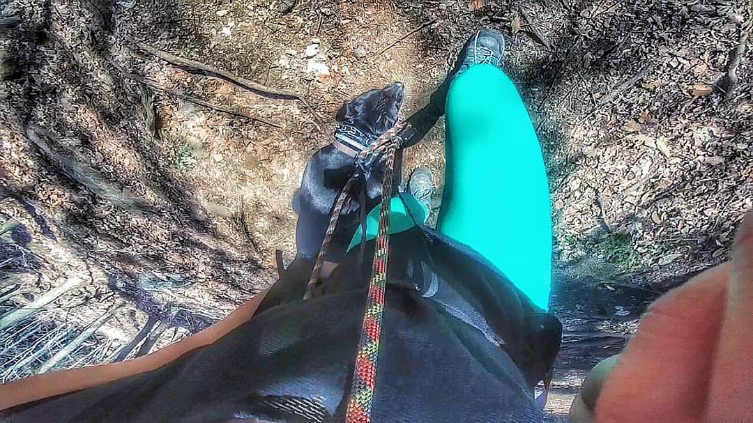 hiking.jpg