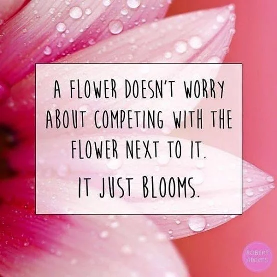 Social media is full of things to make you second guess your own plan. We are the only ones who know what our kids need, don’t worry about the pace everyone else decides to take...keep your eyes in your lane.
@mryanjohnstone always tells our kids “plan the work, work the plan.” Love it! Hope everyone has an amazing Friday!!!
#summerofpositivity #marchingband #drill #band #boa #dci #summerband