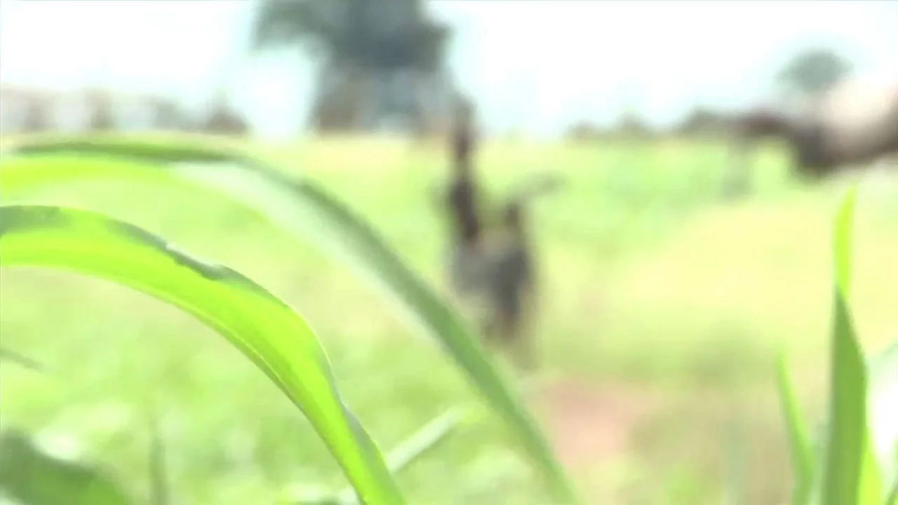 MDG Ghana