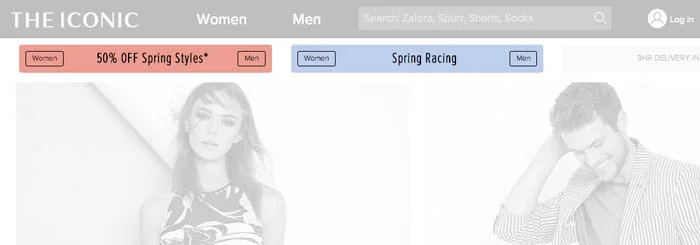 Internal Website Campaign Example