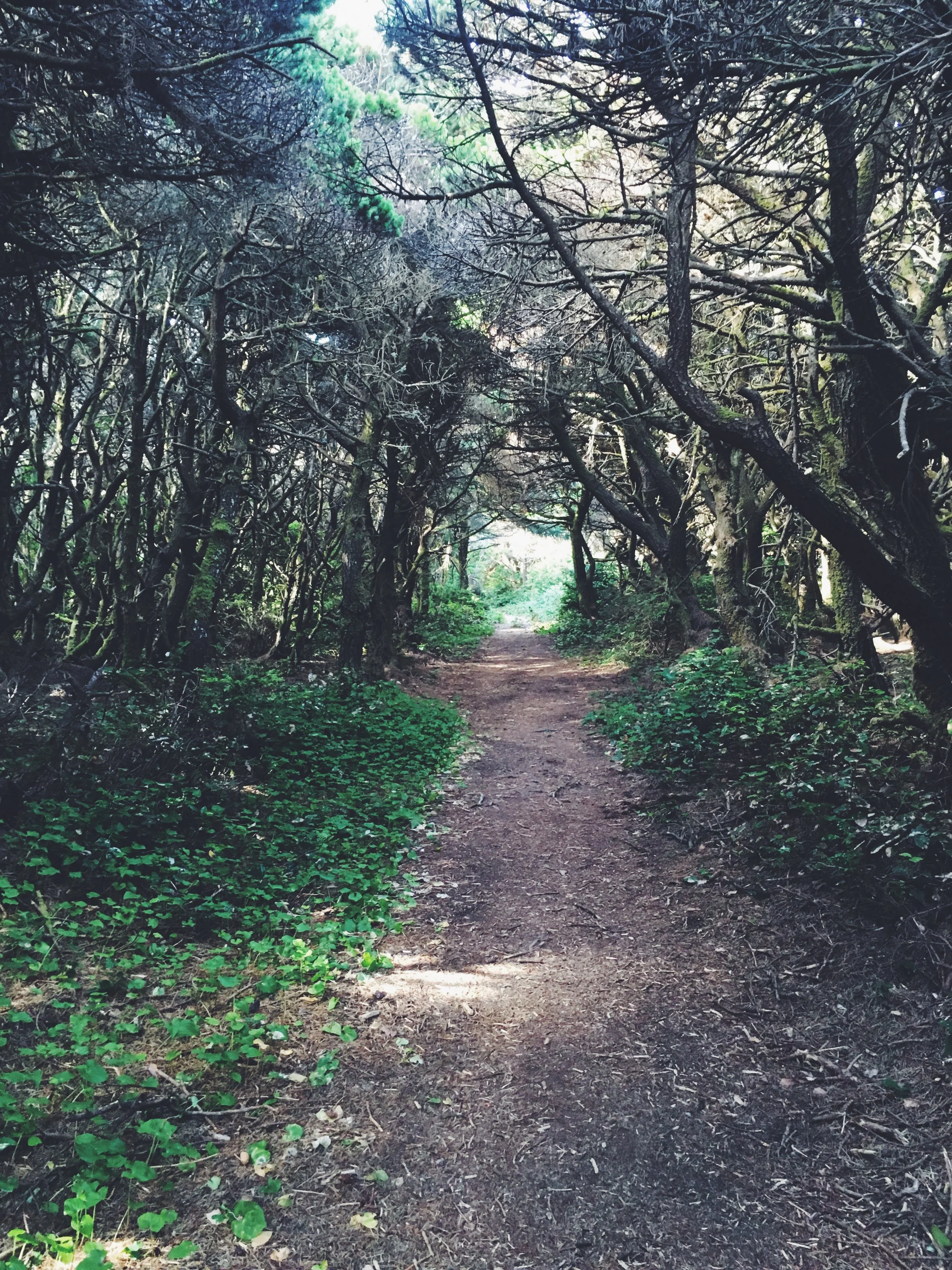 Lake Floras, Oregon Coast Trail 