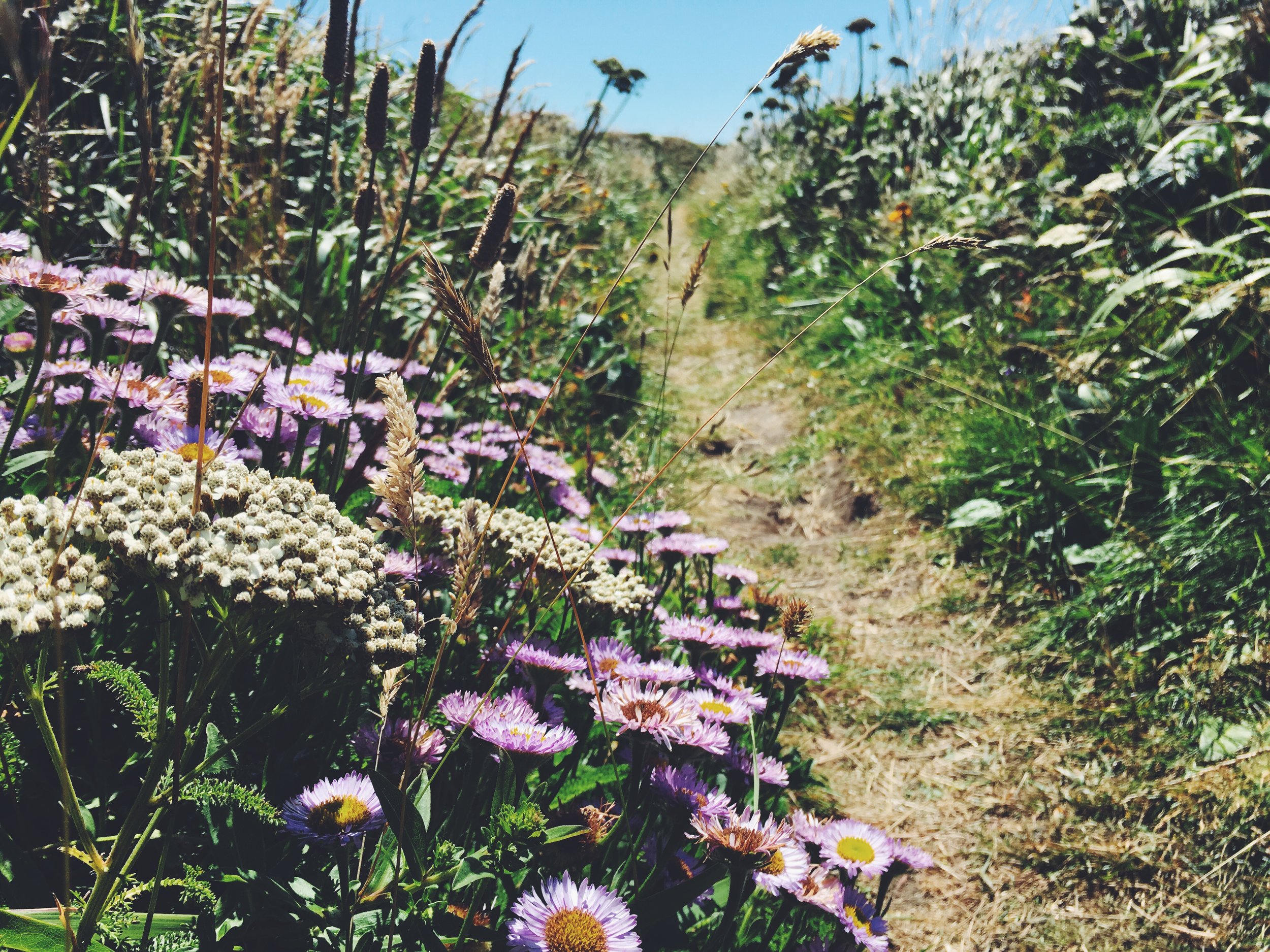 Yaquina Head, Oregon Coast Trail