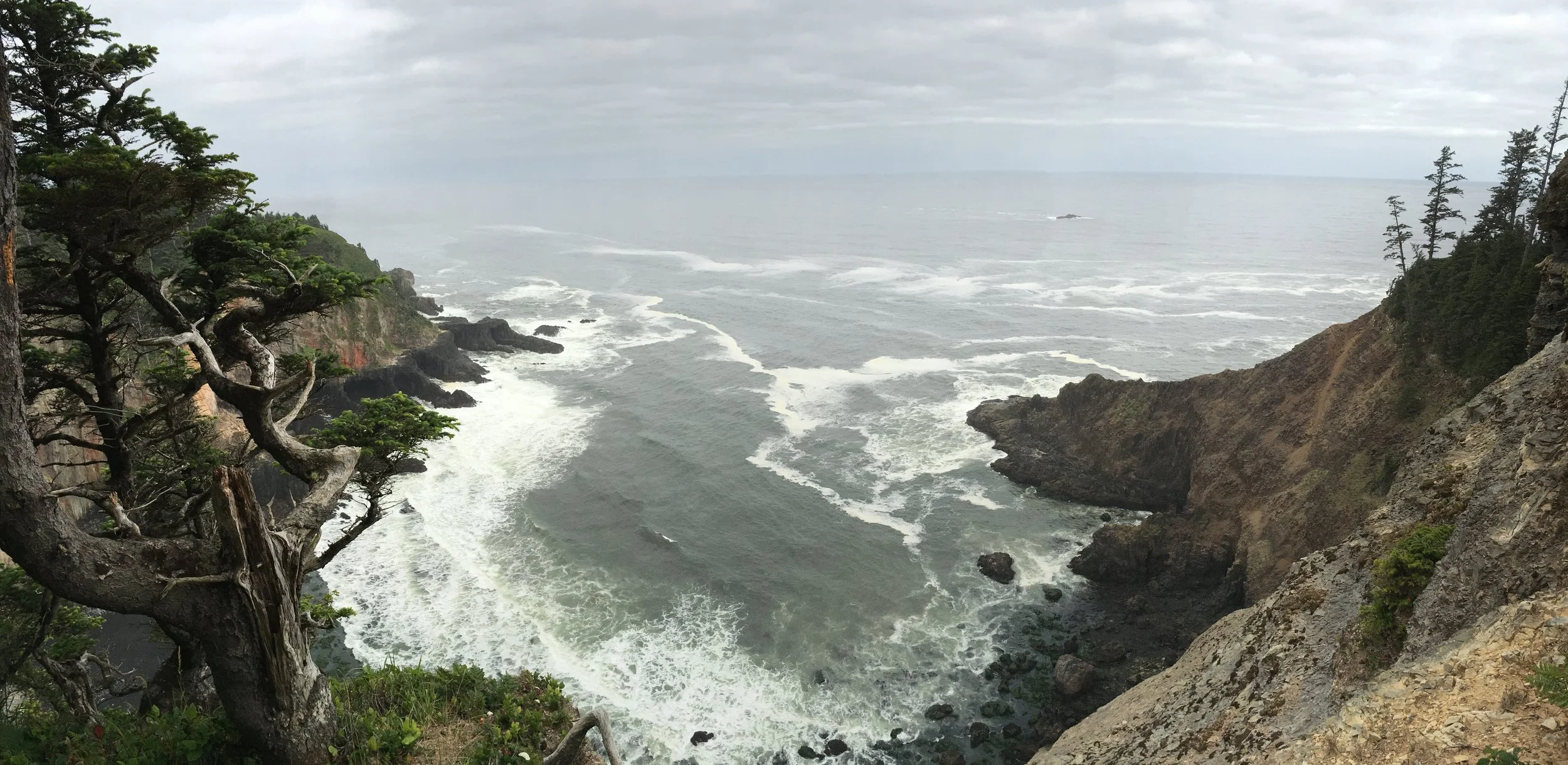 Oregon Coast Trail, North trail leading to Cape Falcon