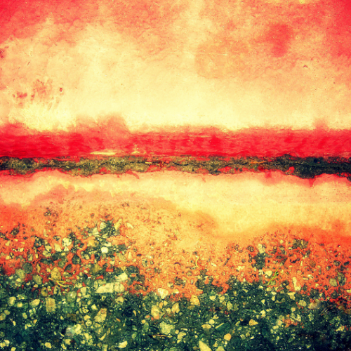 ABSTRACT NATURE - COLLECTION