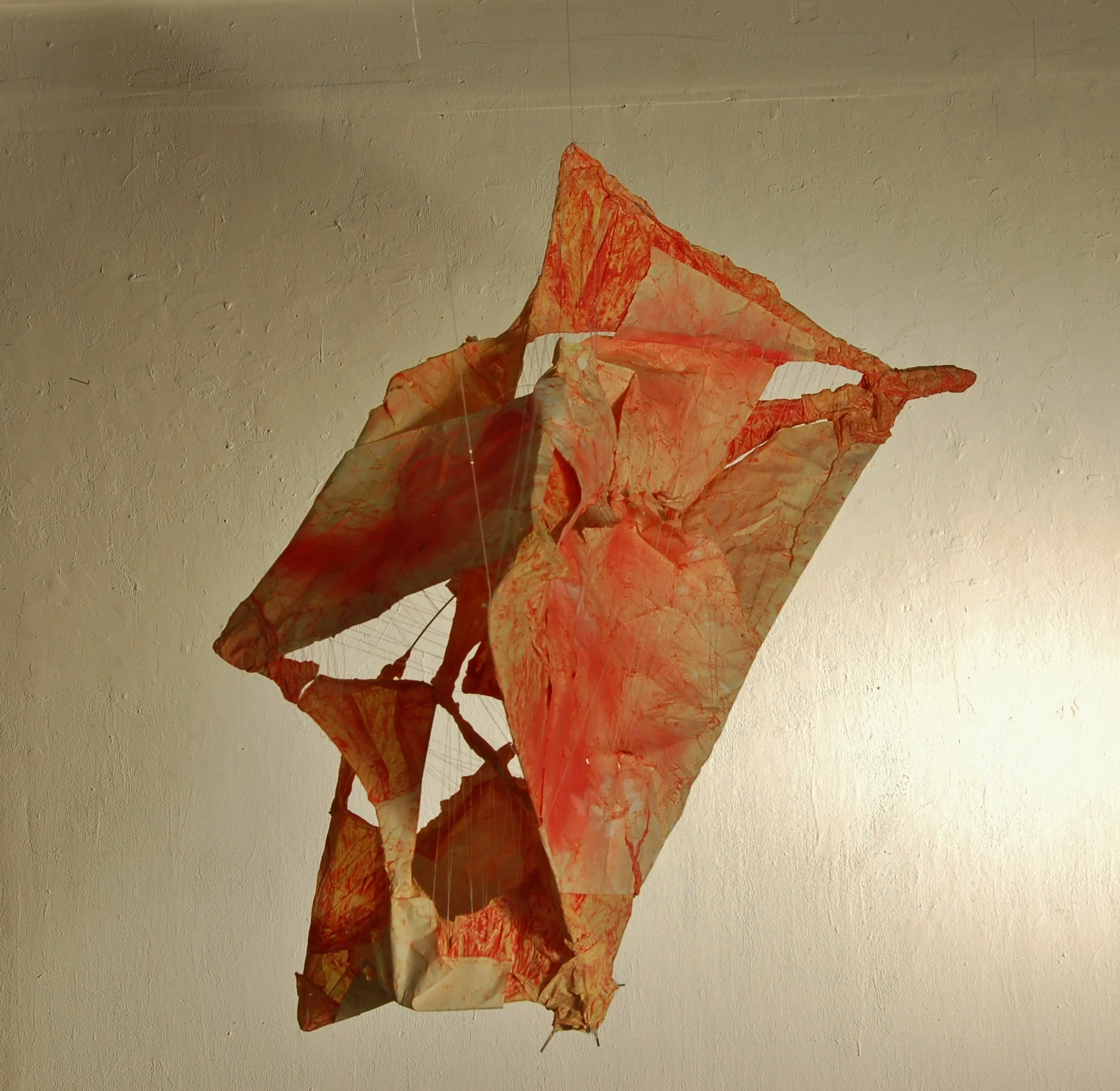 Endopelvic Fascia (Morgan)