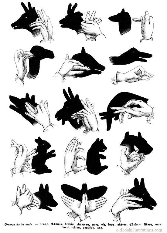 hand-shadows-768.jpg