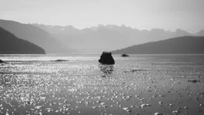 SEARHC - The kids who came home