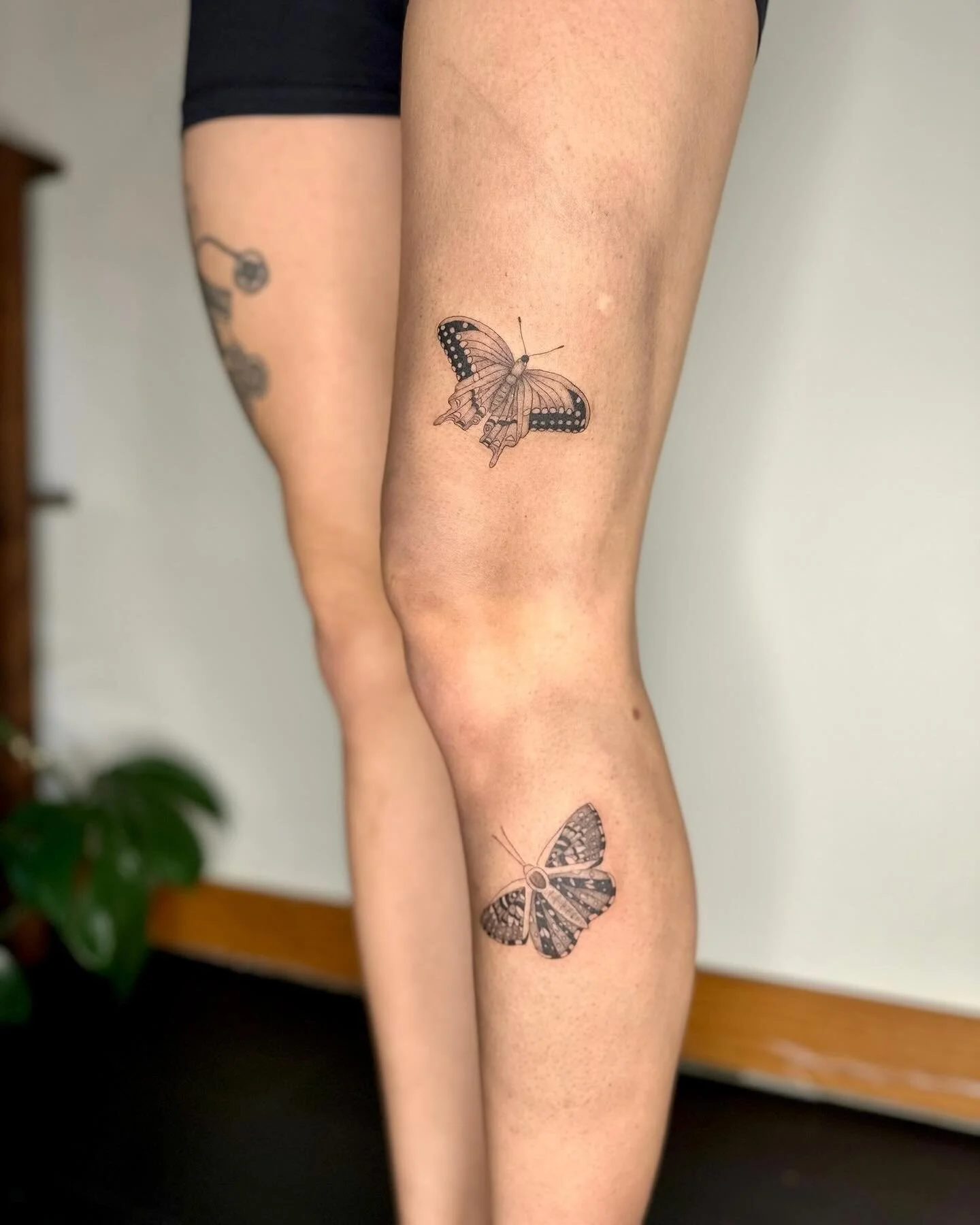 PNW Butterflies for Amanda 
&bull;
Thank you for talking me through and solving all my indoor plant problems!
&bull;
&bull;
&bull;
&bull;
&bull;
#butterflytattoo #butterfliestattoo #pnwtattooartist #pnwbutterflies #seattletattooartist #pnwfemaletatto