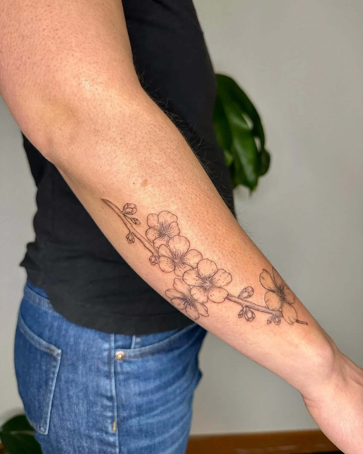 Plum branch for her daughter and grandmother, thanks Emily!
&bull;
&bull;
&bull;
&bull;
&bull;
&bull;
#pnwtattooartist #seattletattooartist #pnwfemaletattooartist #plumbranch #plumtattoo 
#seattlefemaletattooartist 
#femaleownedtattooshop #seattletat