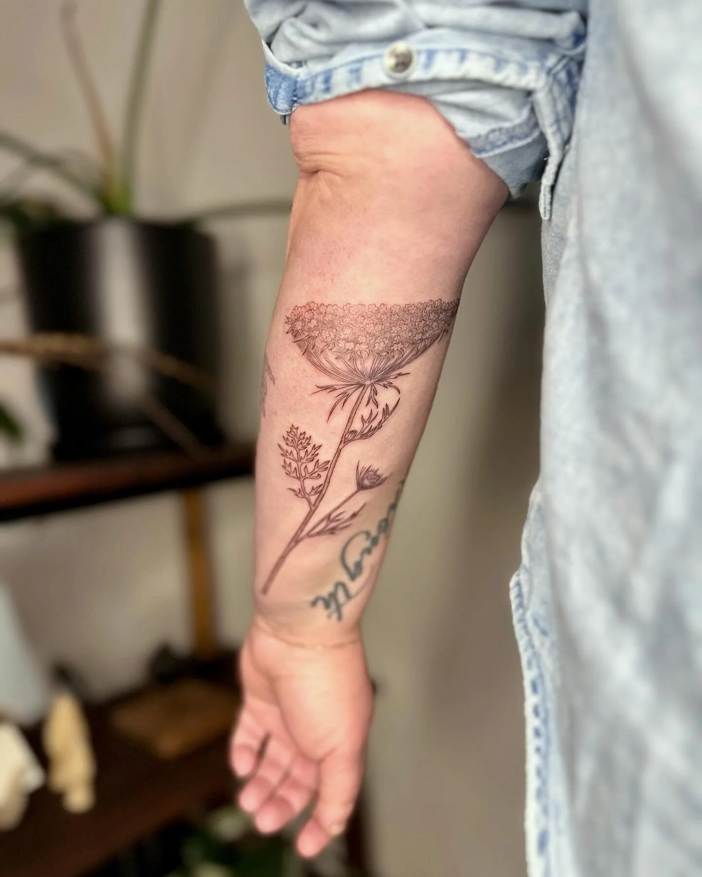 Queen Anne&rsquo;s Lace for Bridgette, I love love love this underrated plant!
&bull;
Plus a healed fern :)
&bull;
&bull;
&bull;
&bull;
&bull;
&bull;
#queenanneslace #queenanneslacetattoo #ferntattoo #fern #pnwtattooartist #seattletattooartist #pnwfe