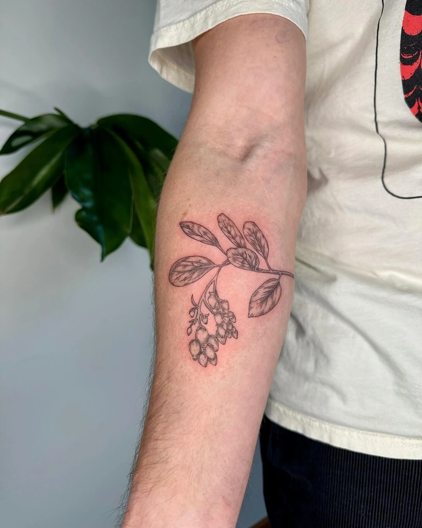 Manzanita for Wes&rsquo;s first tattoo to commemorate hiking the Pacific Coast Trail
&bull;
&bull;
&bull;
&bull;
&bull;
&bull;
#manzanita #manzanitatattoo 
#pnwtattooartist #seattletattooartist #pnwfemaletattooartist
#seattlefemaletattooartist 
#fema