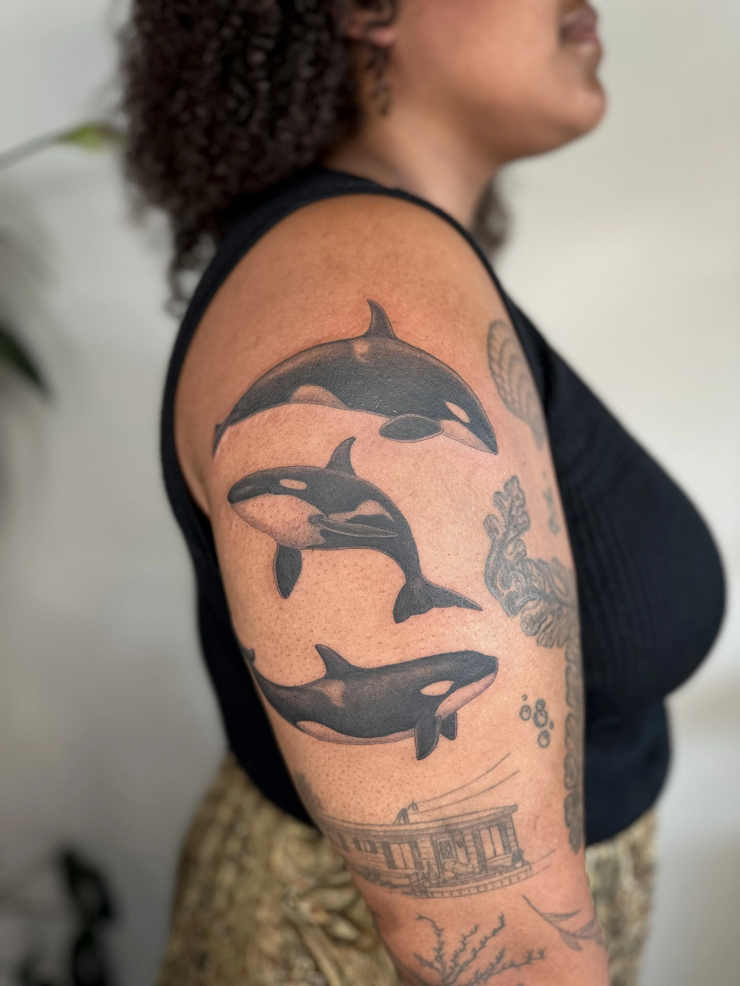 orca.jpg