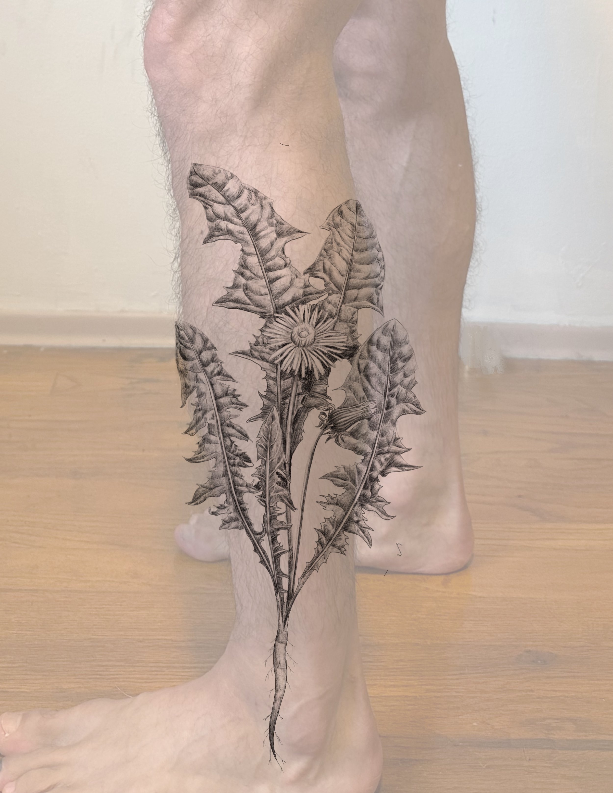 Dandelion