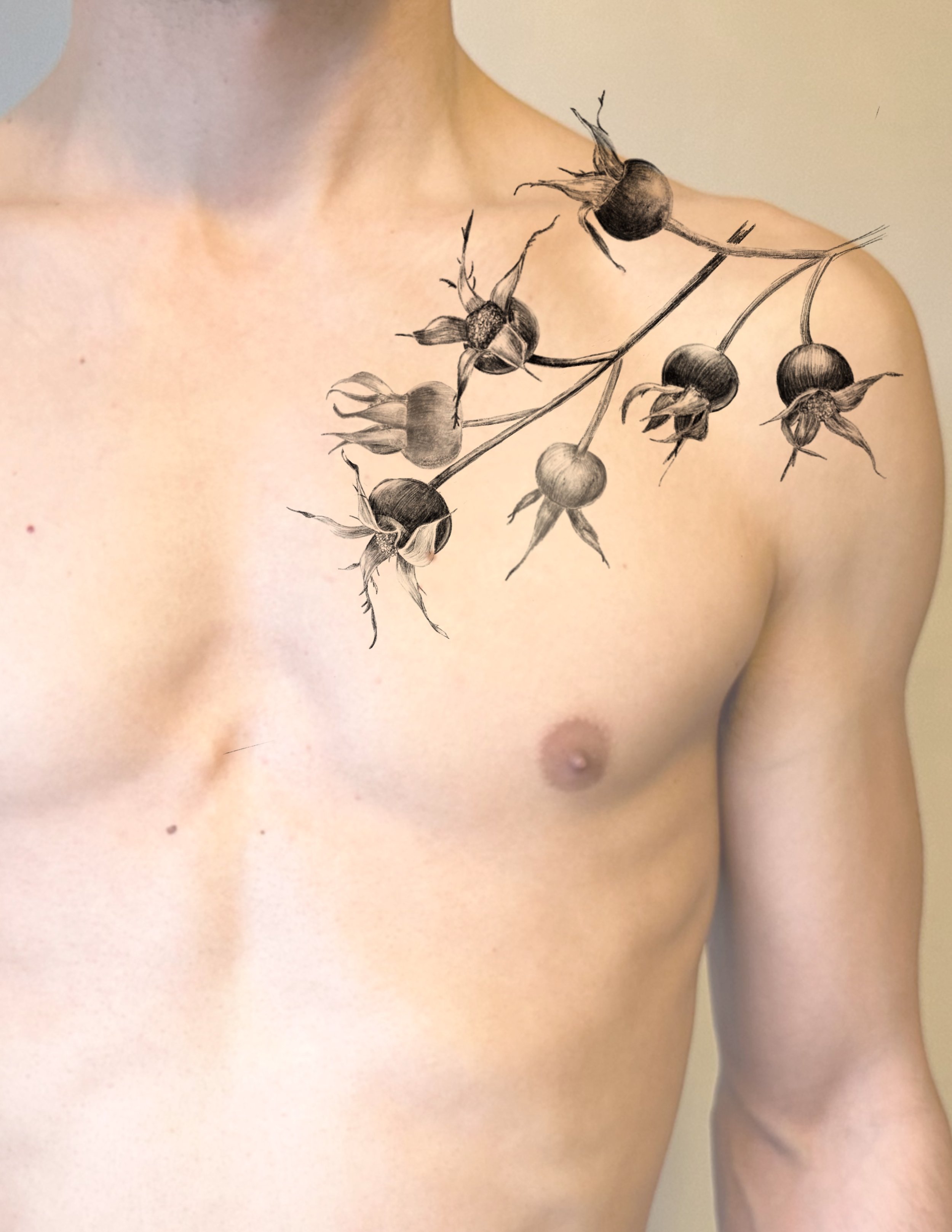 Rosehips