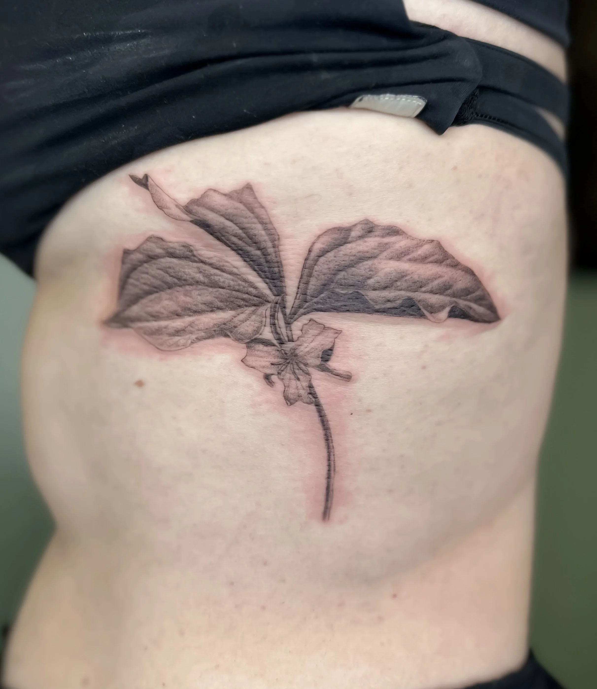 trillium