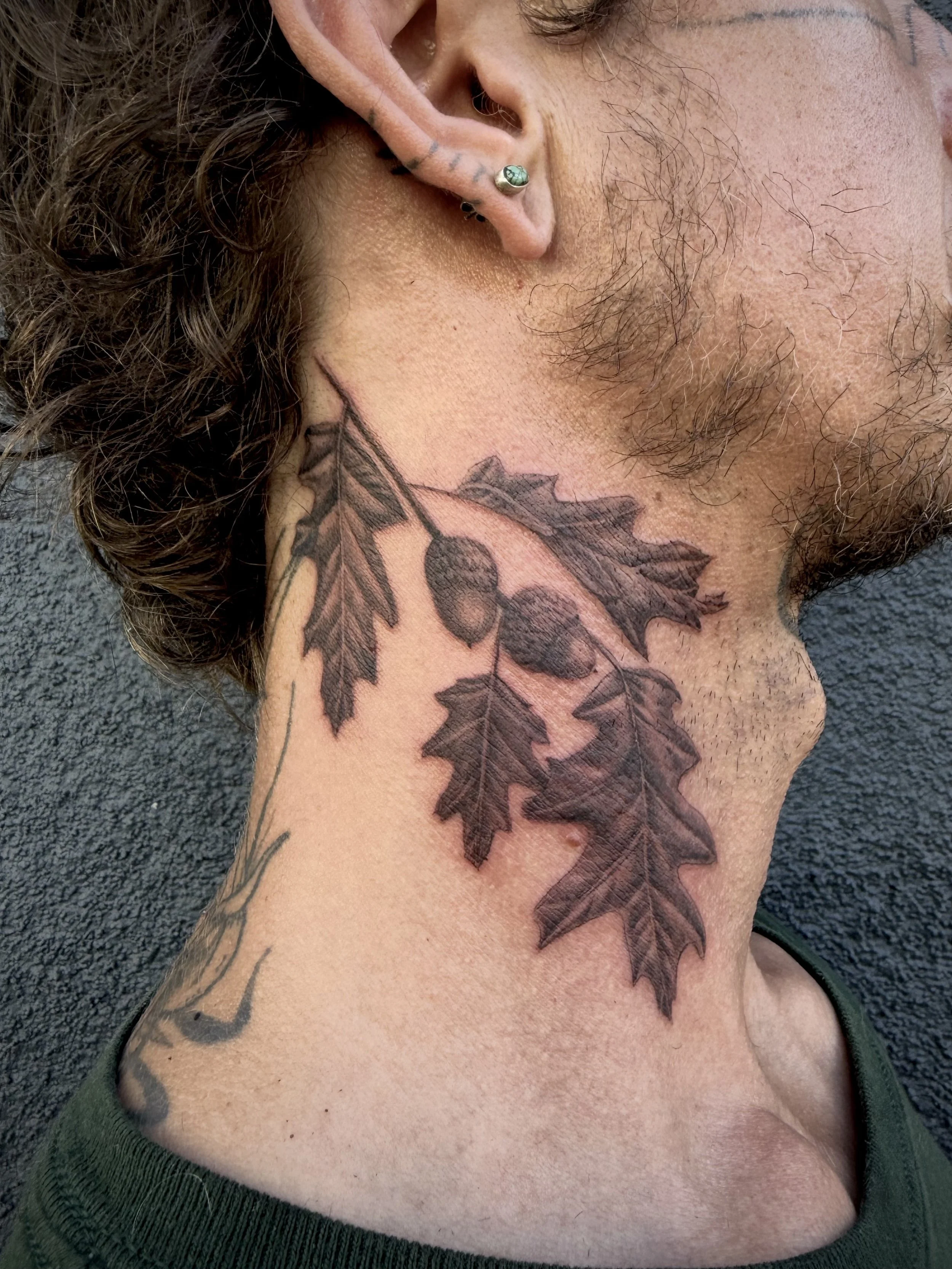black oak