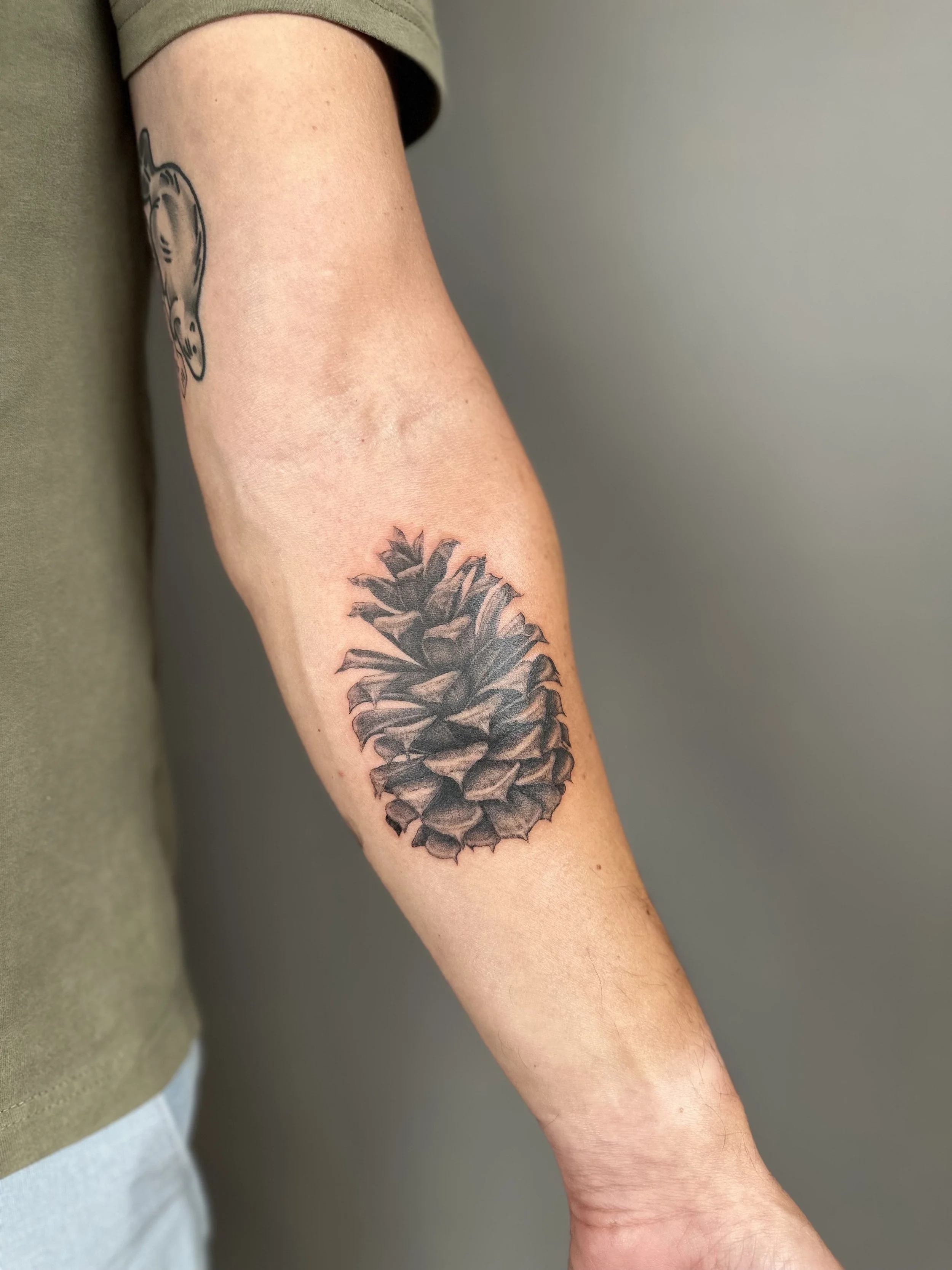 pinecone