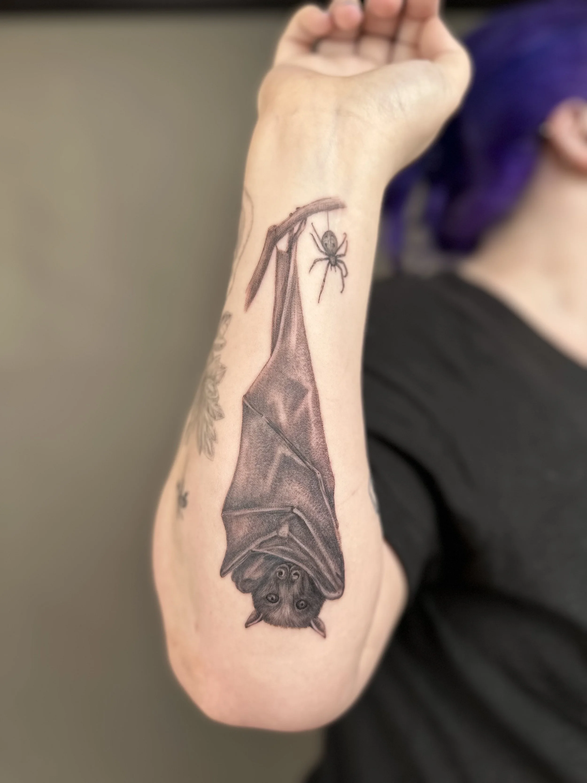 fruitbat