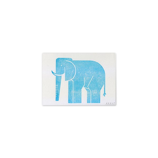 adolf_rodriguez_roar elephant.jpg
