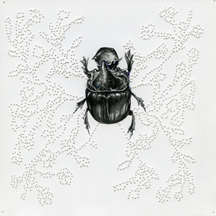 Tanya Chaly (NY, usa)