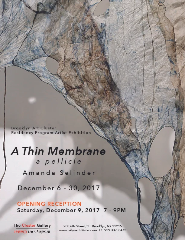 A Thin Membrane Poster_Small.jpg