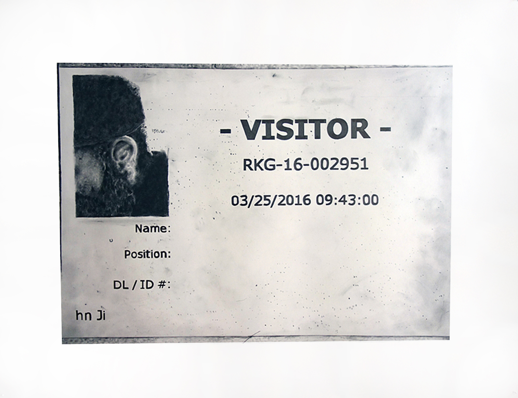 Visitor (2)