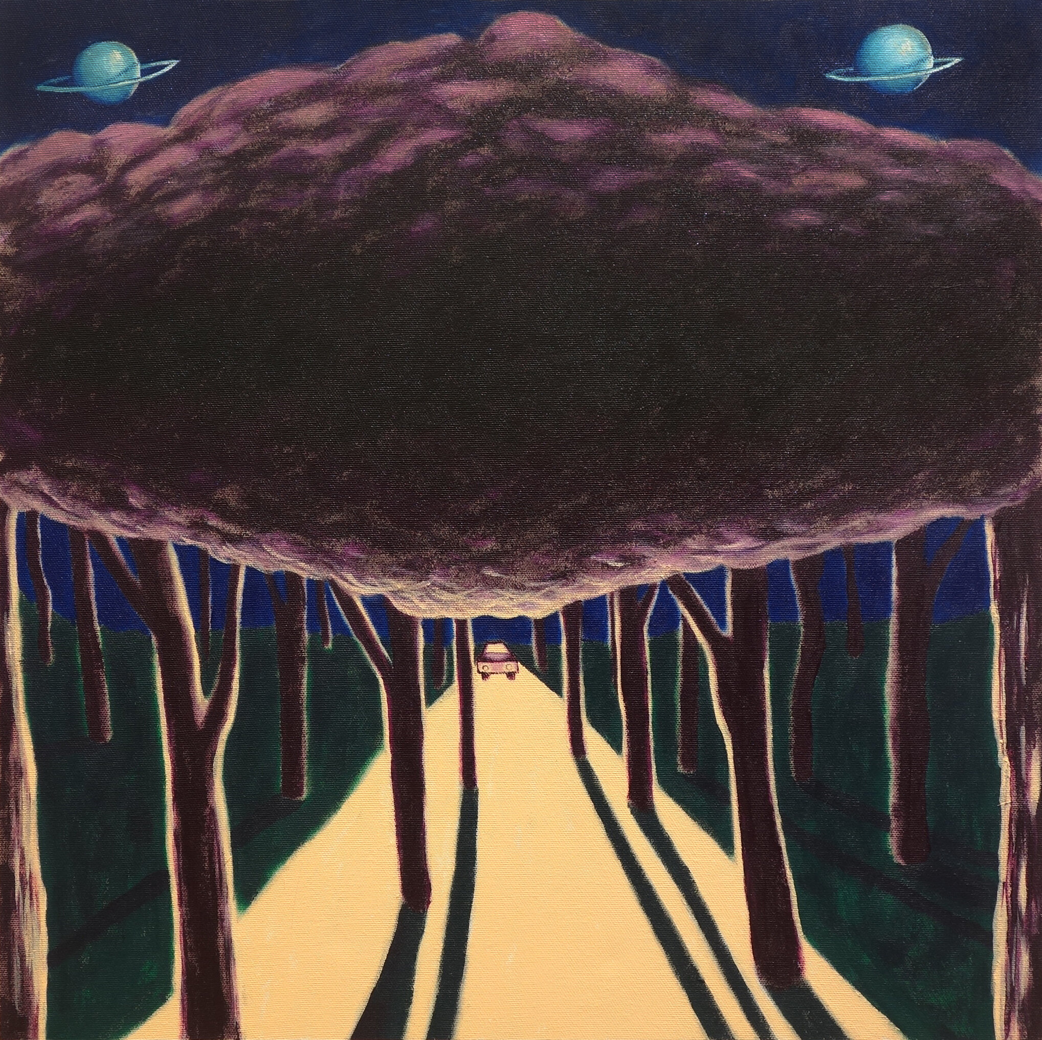 Night Car (tree top)