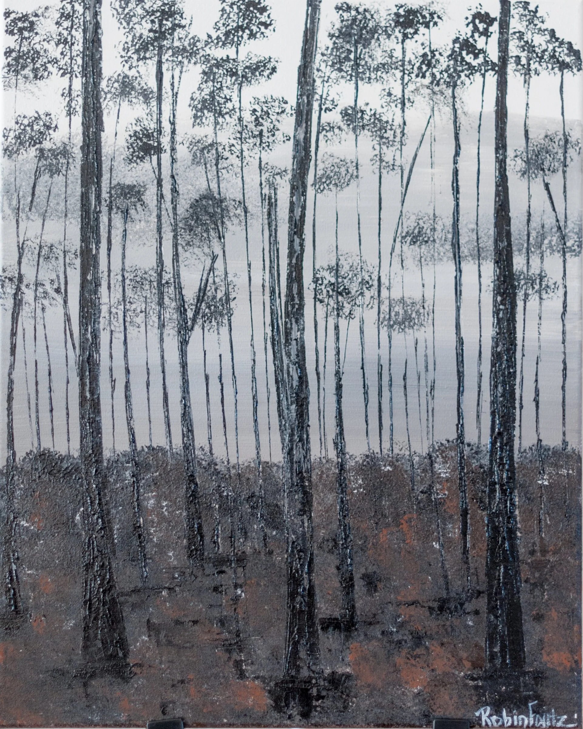 Forest 16x20