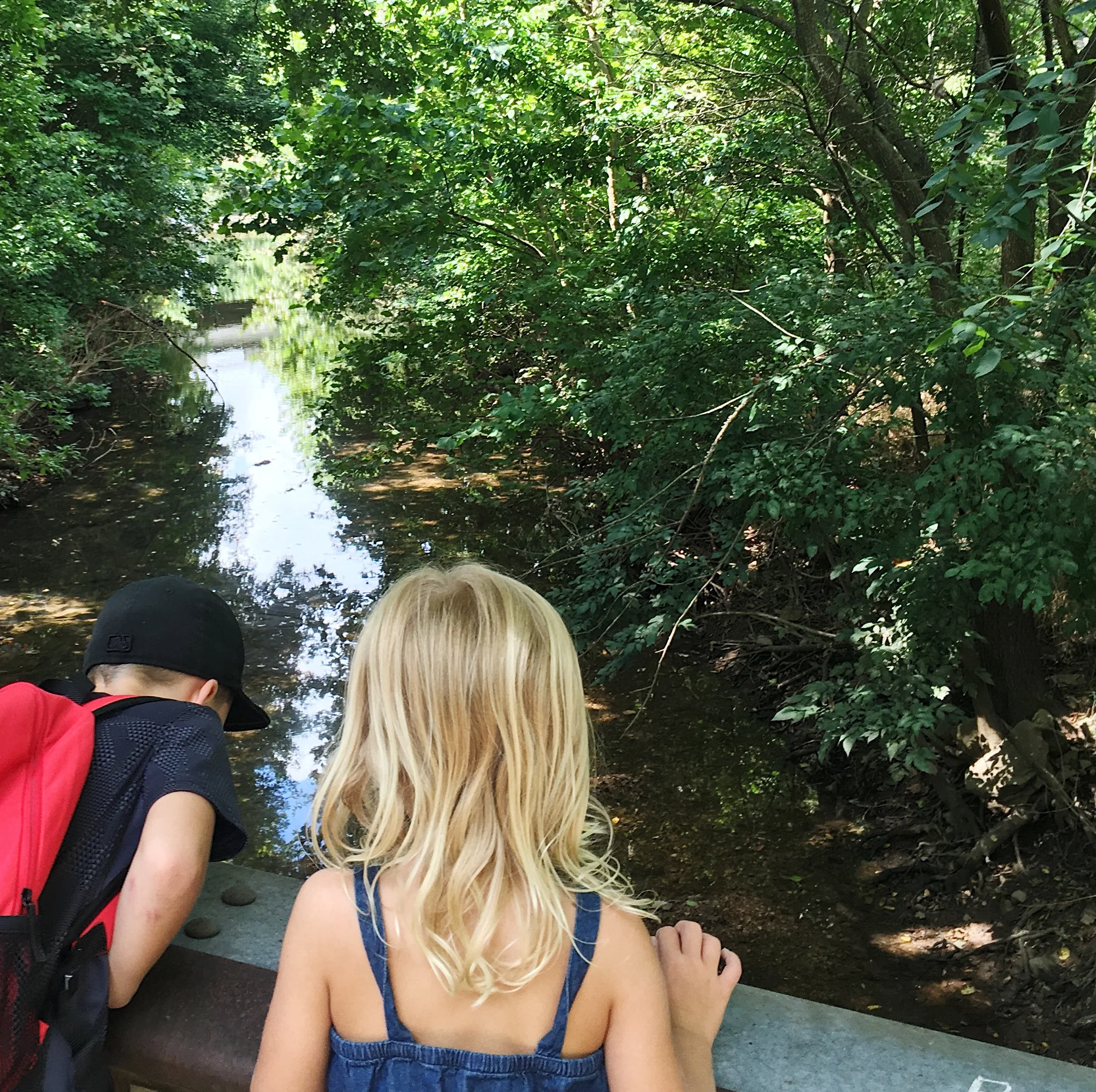 Springing up faith-filled expectations