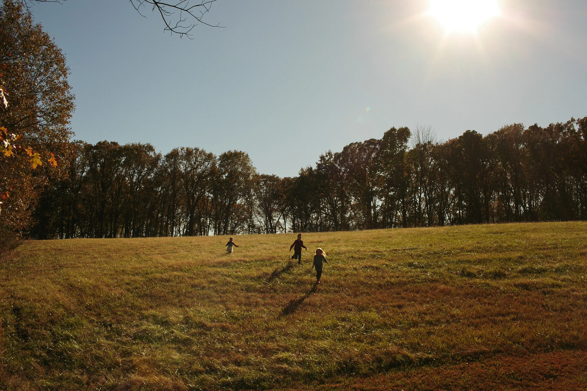 Five shades of forgiveness