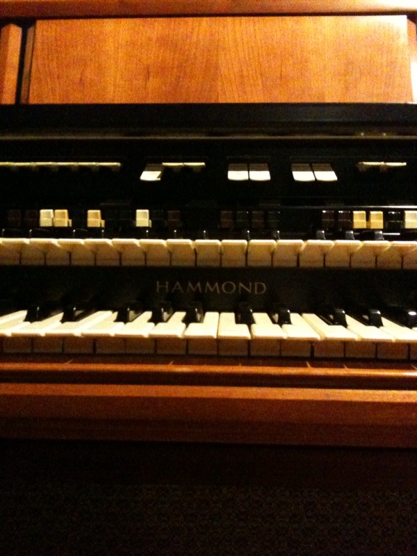 organ1.jpg