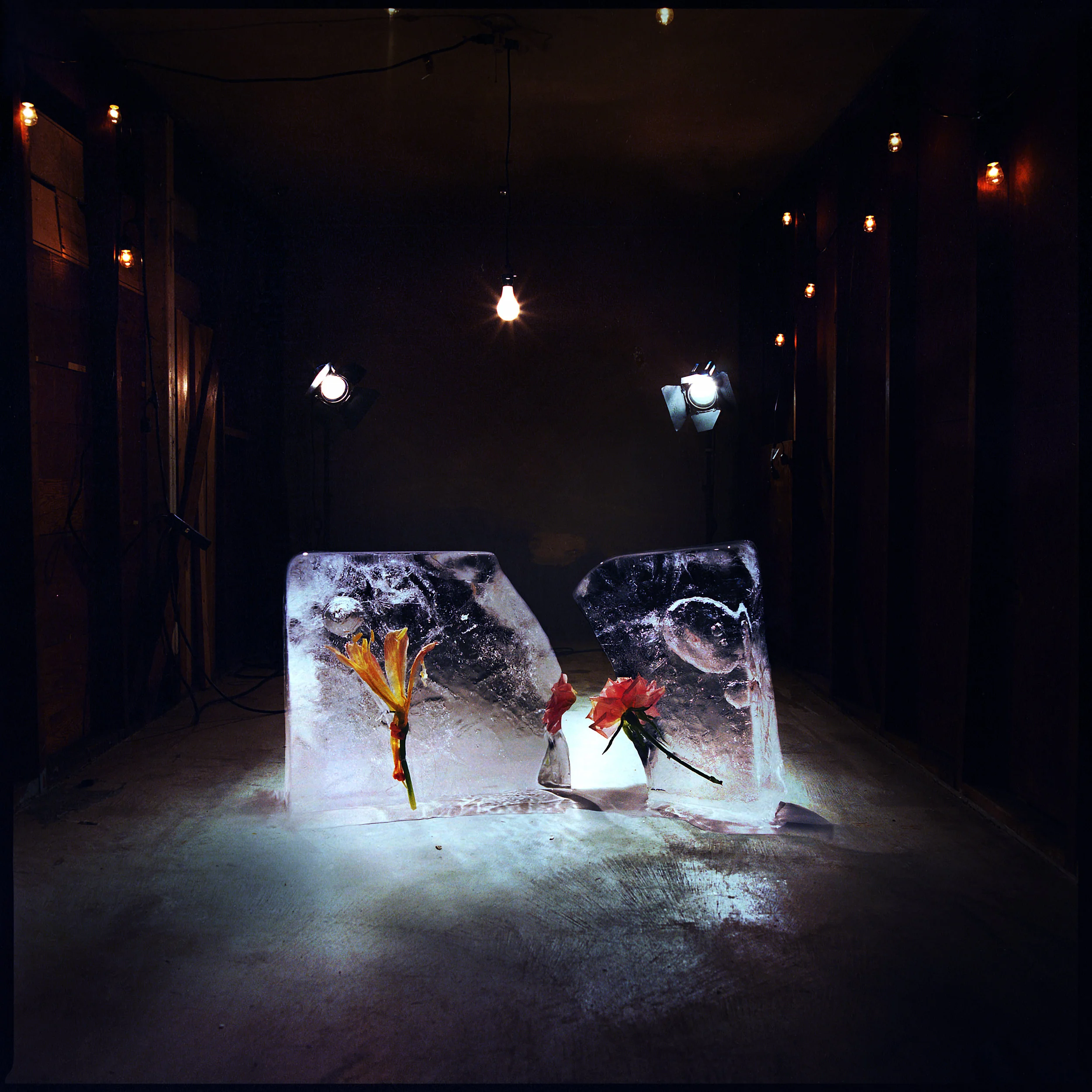 Shy Girls' "Salt" Is An Intimate and Revealing Debut