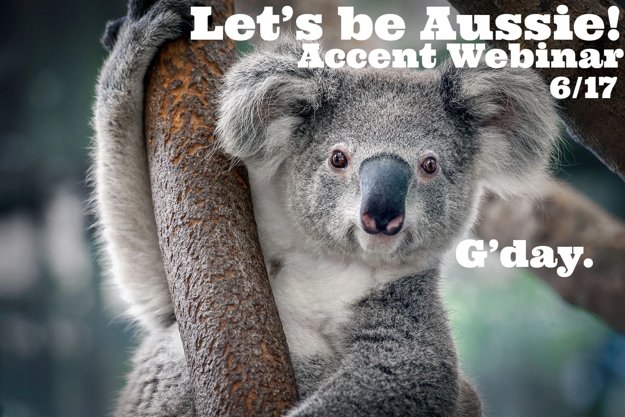 Let's be Aussie image.jpeg