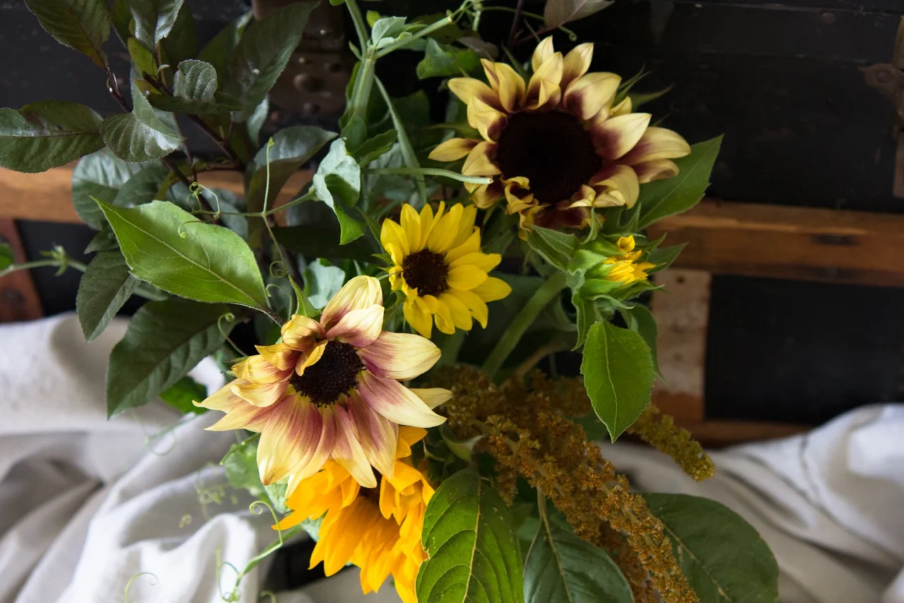 sunflowers2.jpg