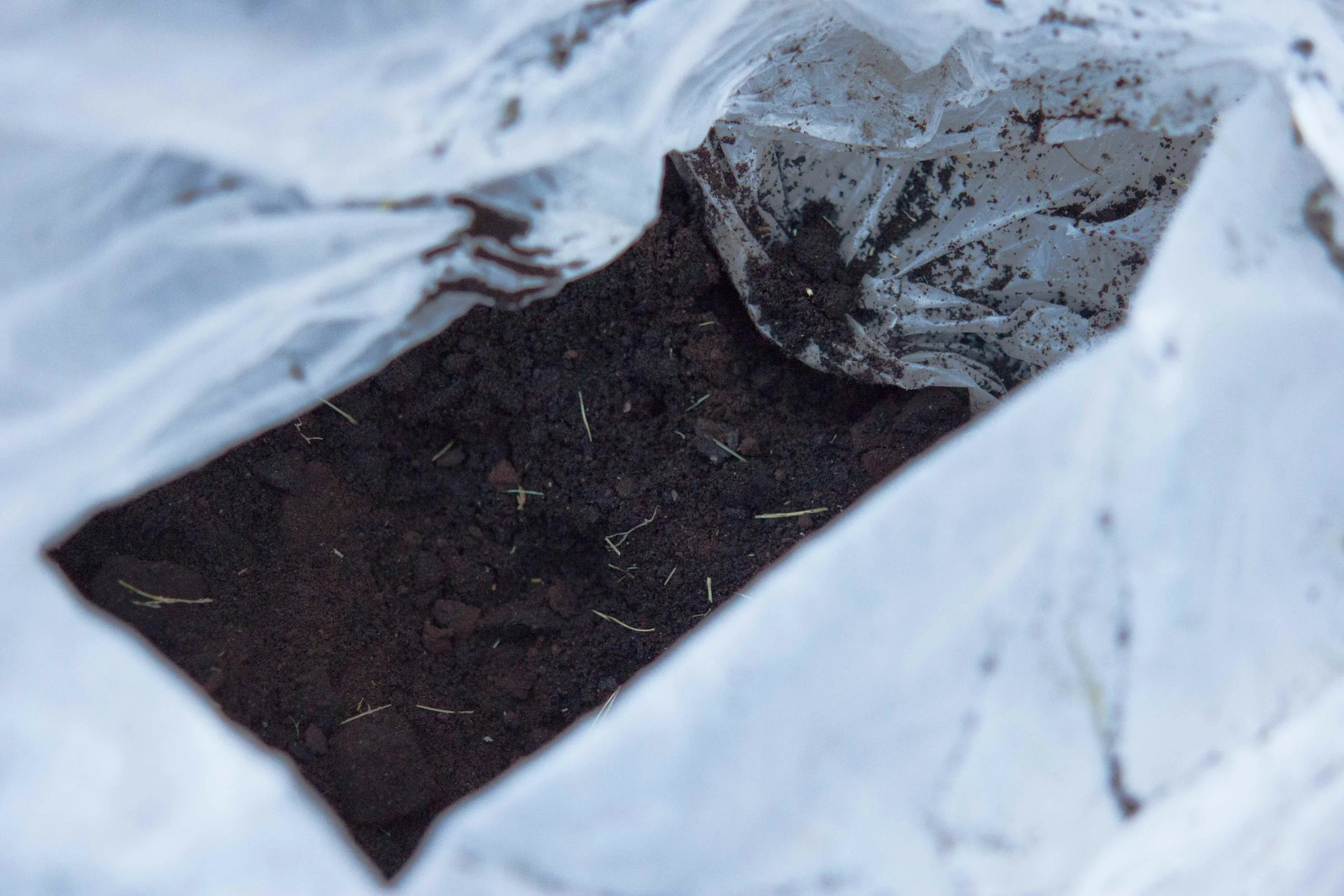 compost.4.jpg