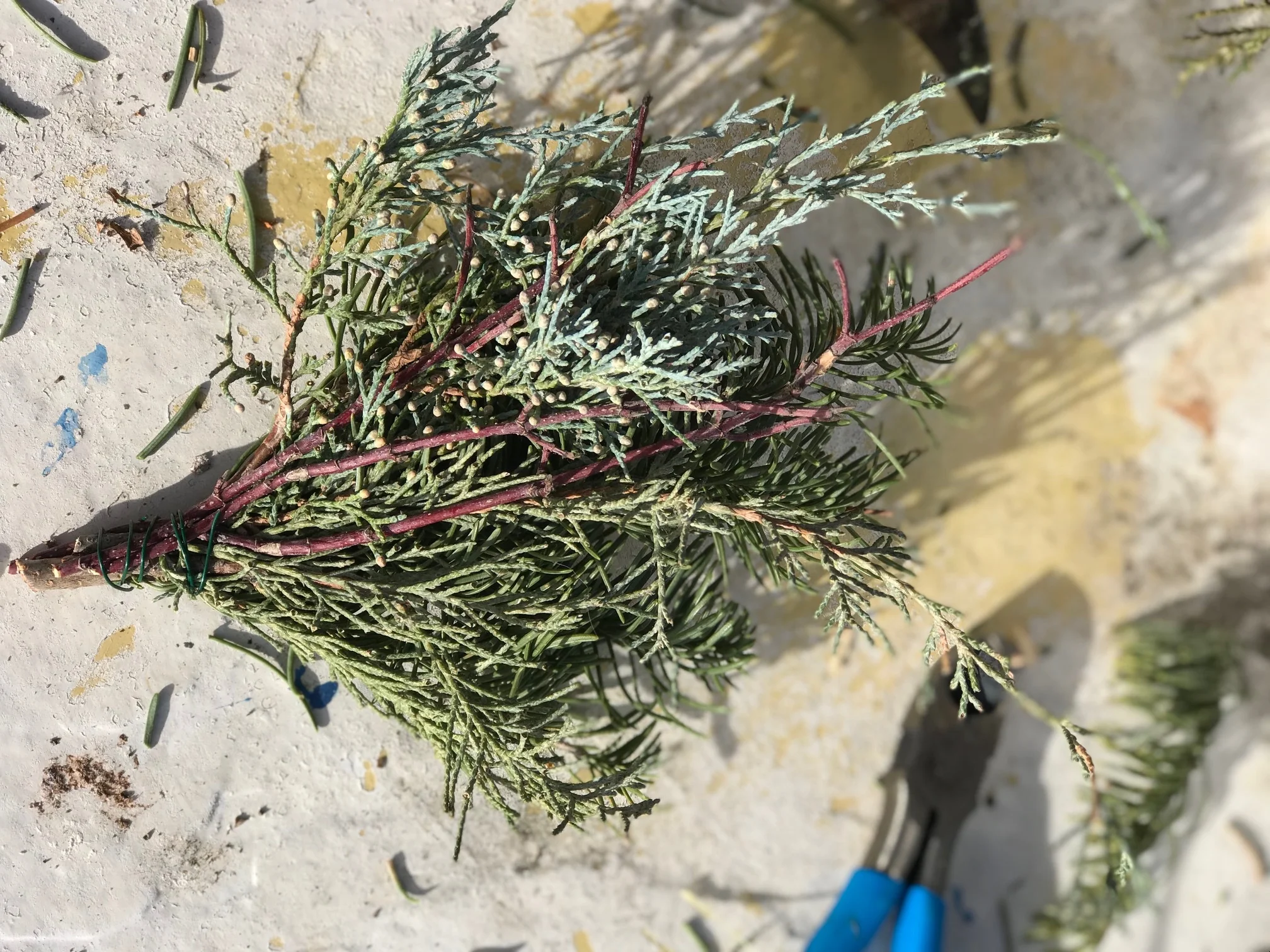 wreathmakingbundlefinished.jpg