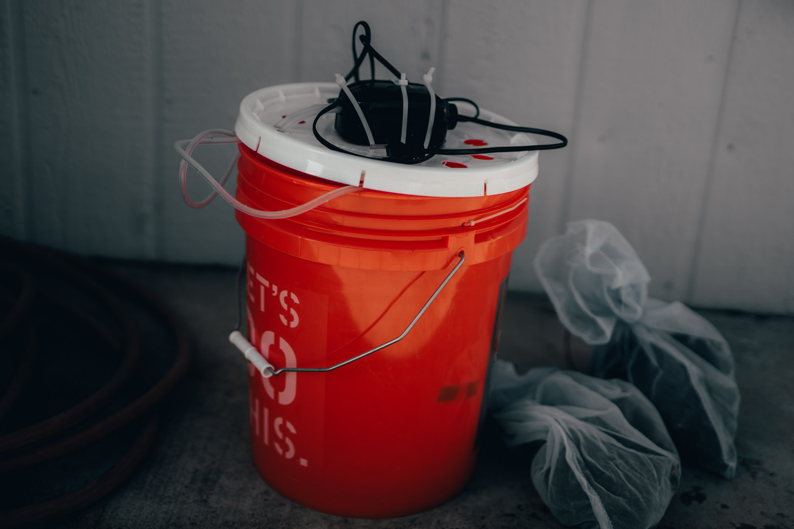 corm soaking bucket.jpg