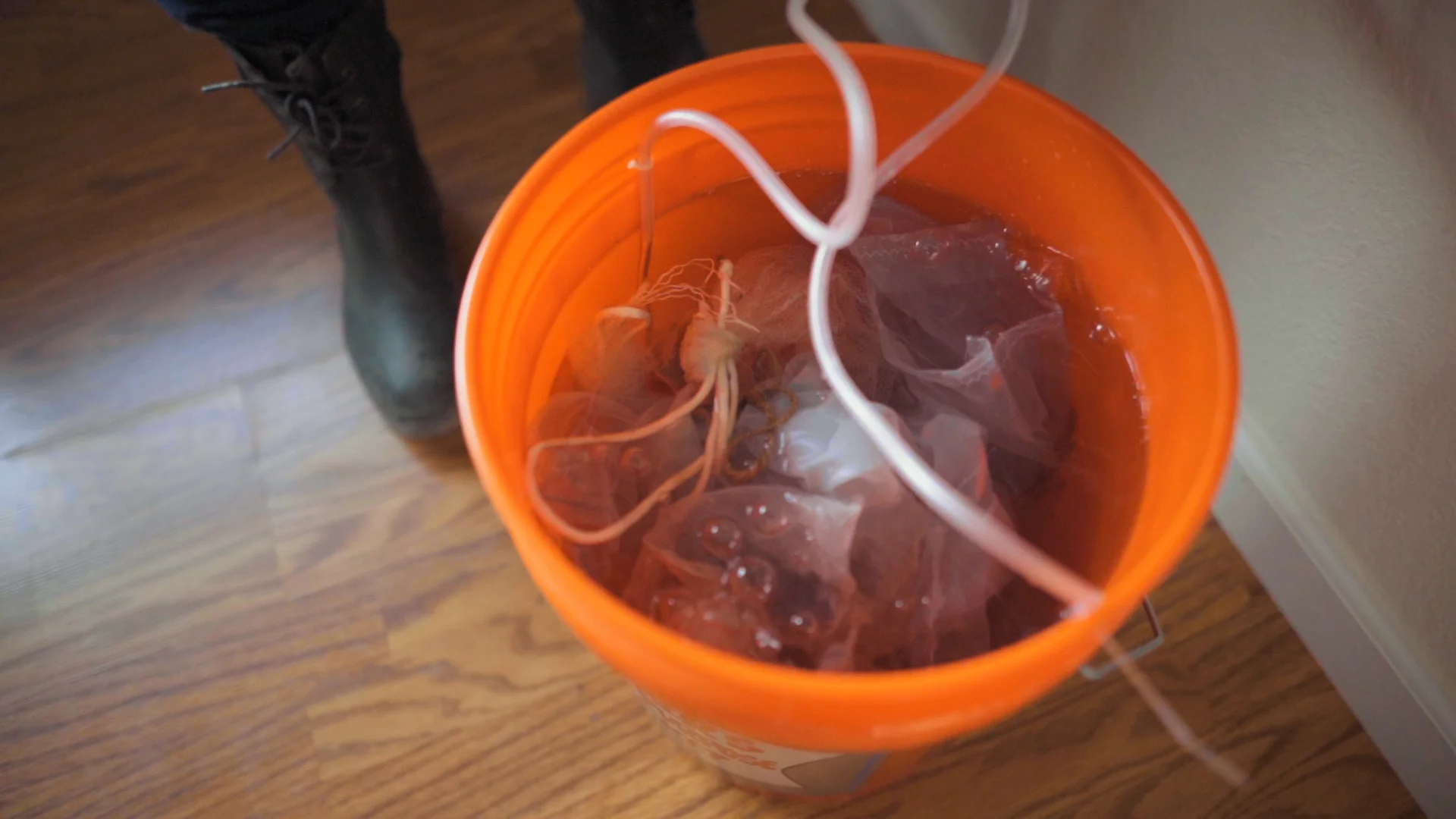 corms soaking.jpg