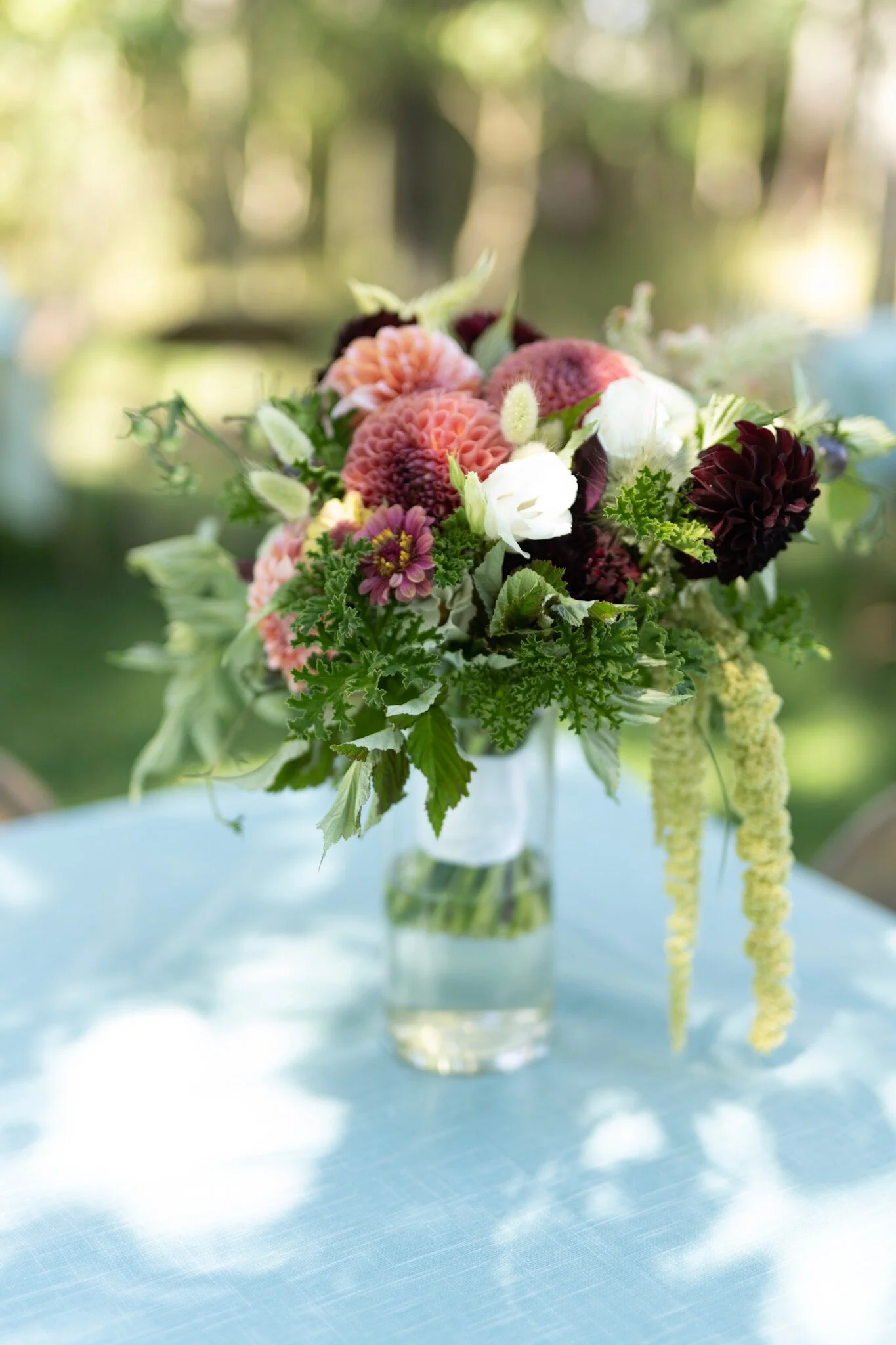 Nitty Gritty Seed Starting For The Flower Farmer Sierra Flower Farm