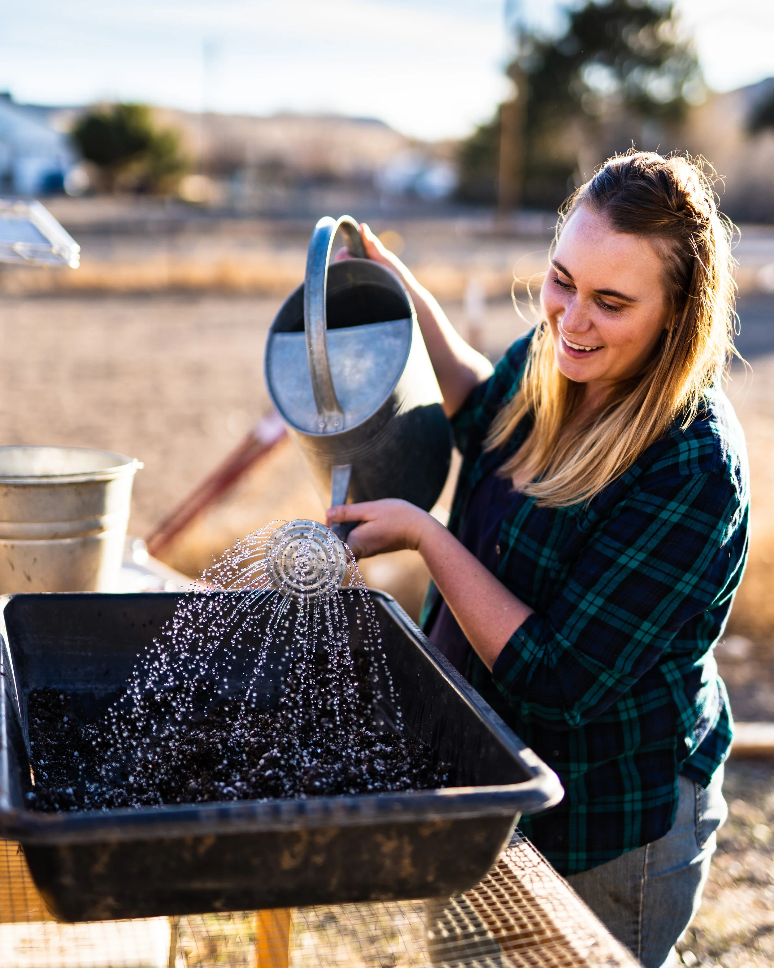 The Best Way to Easily Organize & Store Seeds - Smiling Soil