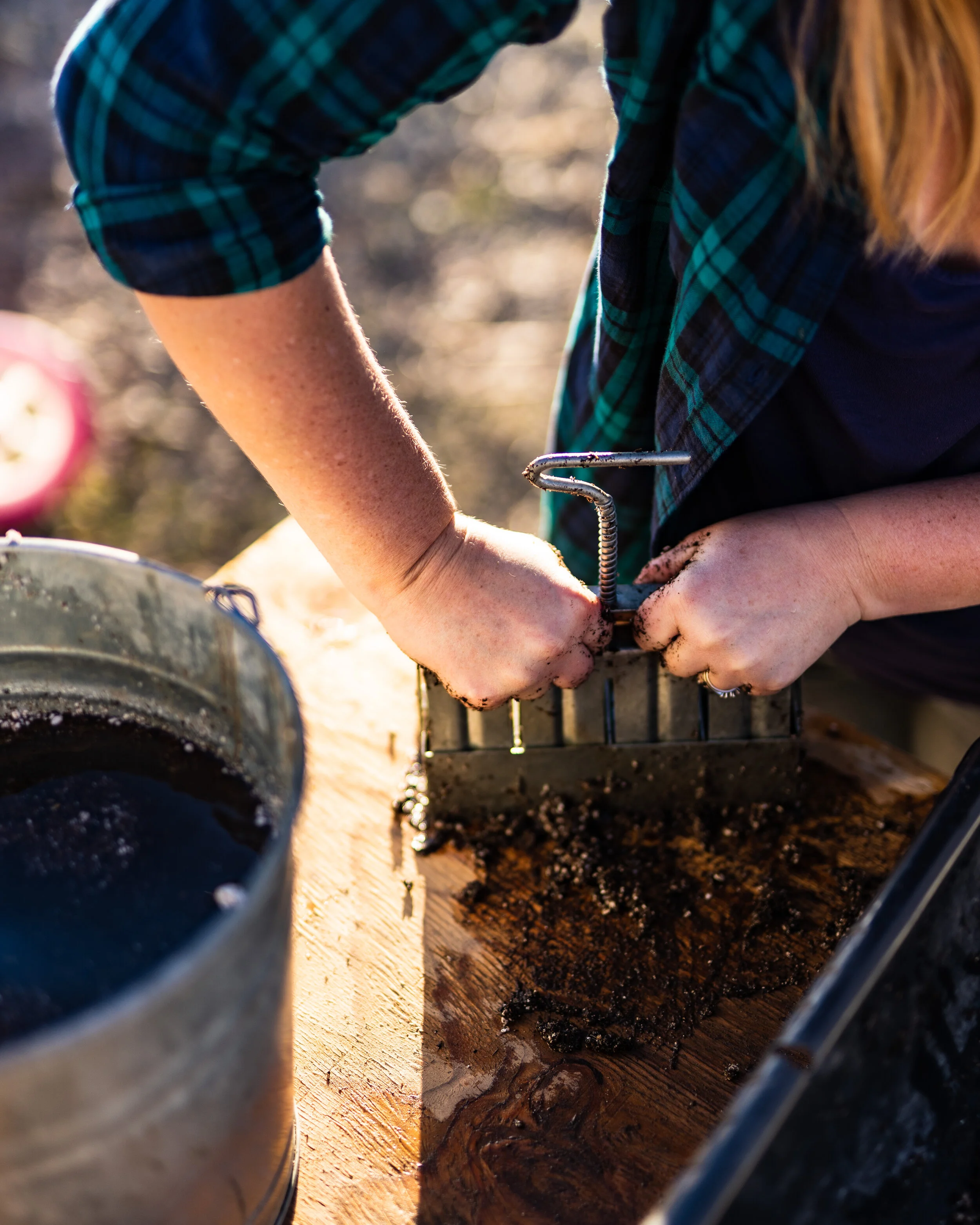 soil blocking 3.JPG