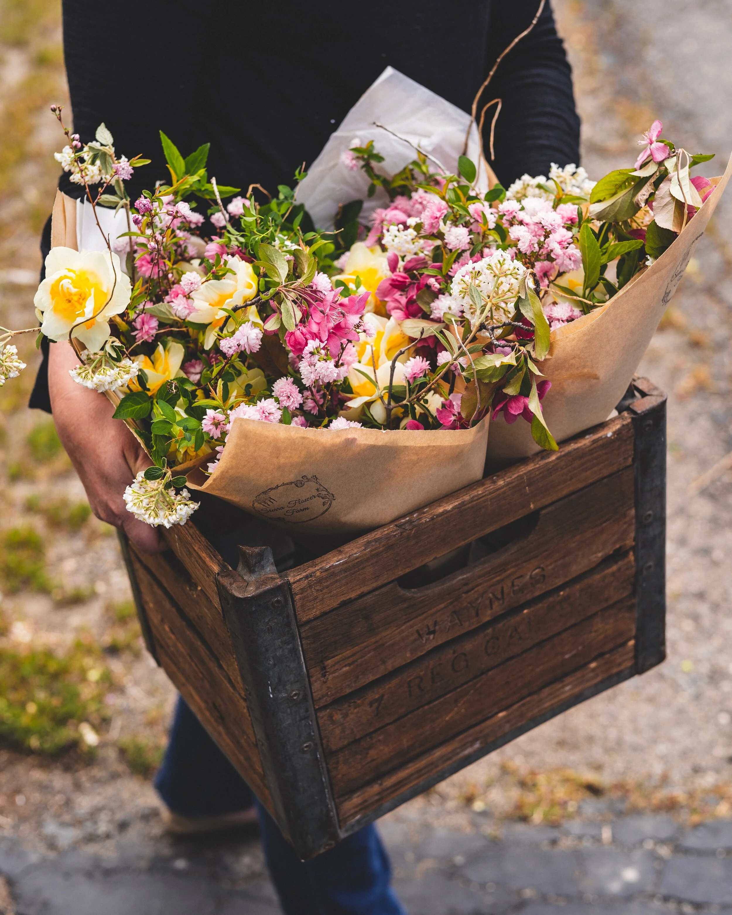 Budgeting for the first year flower farmer — Sierra Flower Farm