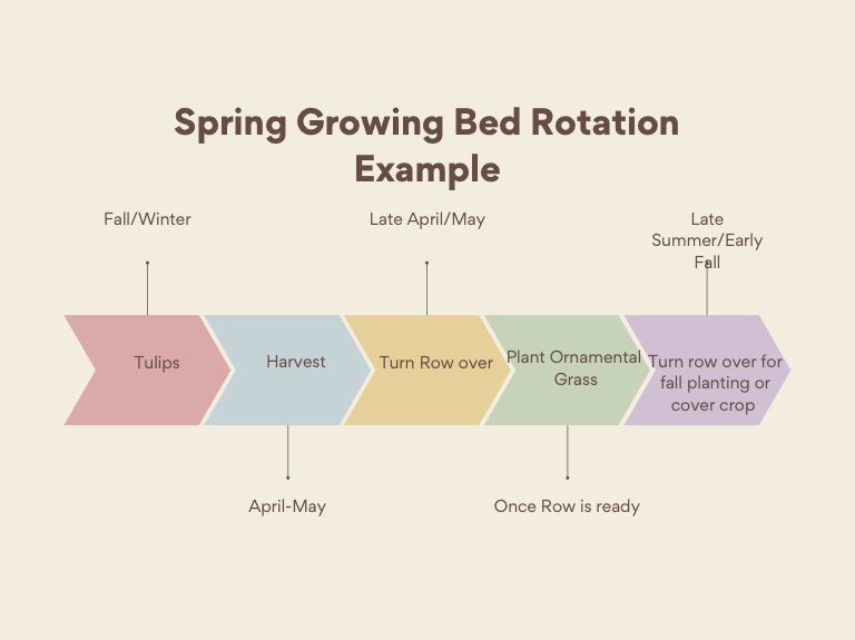 Spring rotation example.jpg