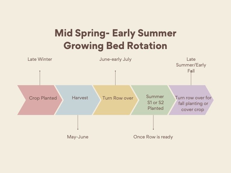 Mid spring-early summer growing bed rotation.jpg