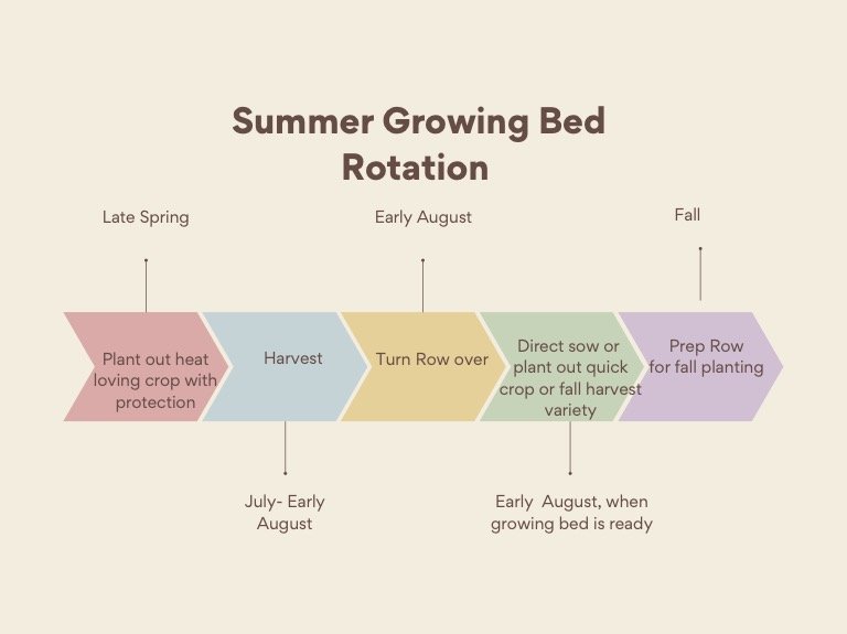 summer growing bed graphic.jpg