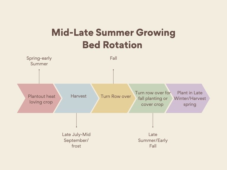 mid-late summer rotation graphic.jpg
