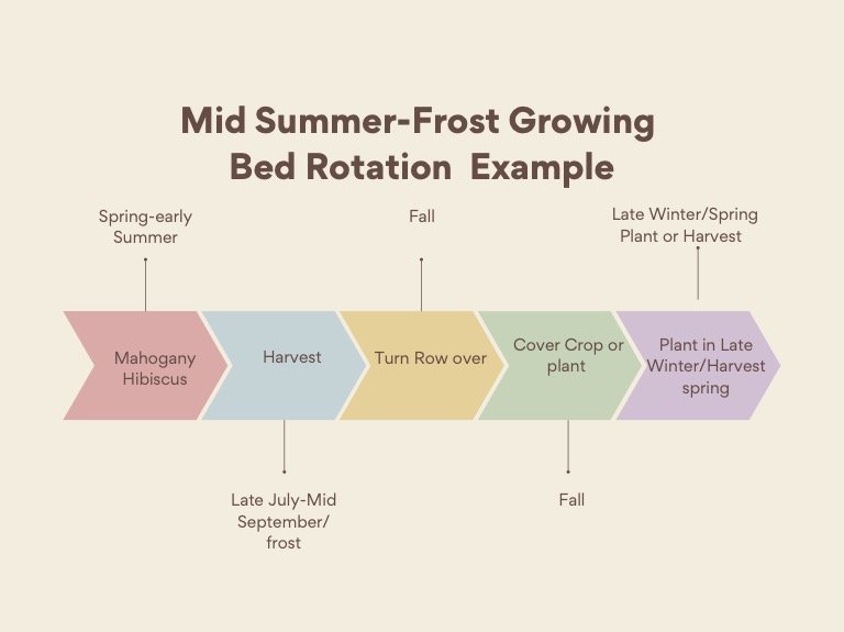 Mid summer to frost example.jpg