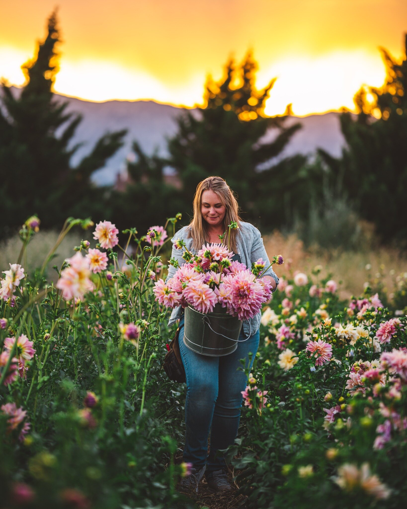 It must be spring!

The greenhouses are overflowing with seedlings, the birds are chirping, and we sat outside and ate dinner the other night.

The last couple weeks have been a whirlwind of seed starting, helping Graham at the accounting office and 